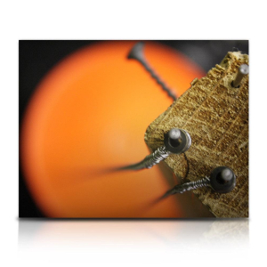 Soundiron Bowed Bucket