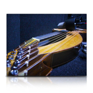 Soundiron Brad Hoyt's Harp Guitar