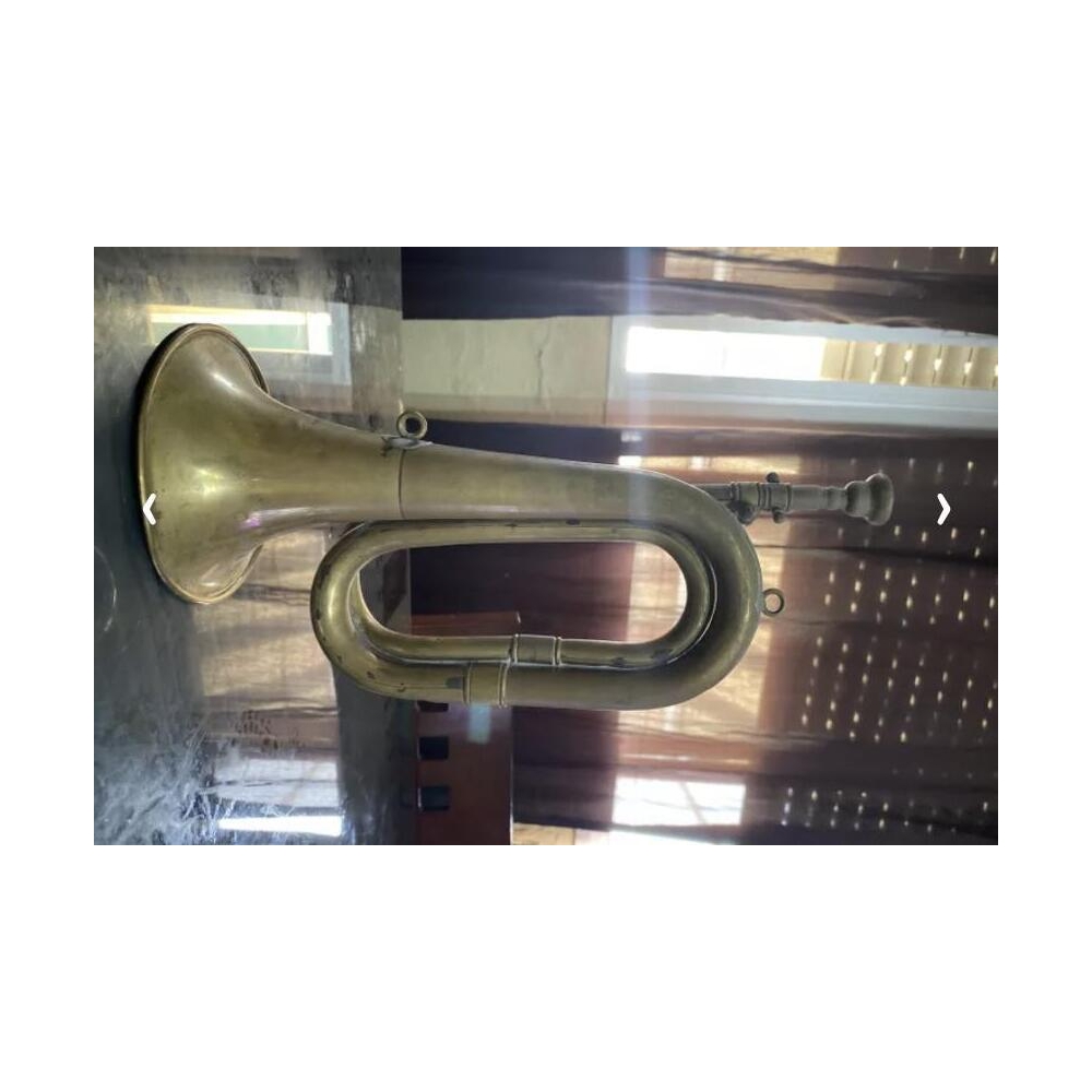 Natural Cornet