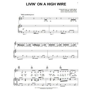 Livin'' On A High Wire