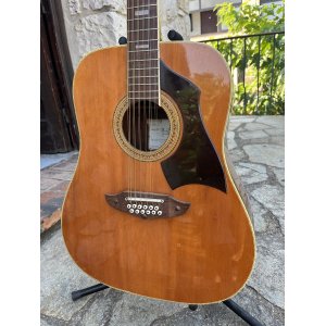 Vendido - Eko Ranger XII