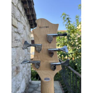 Fernandes Monterey Bass 5 X