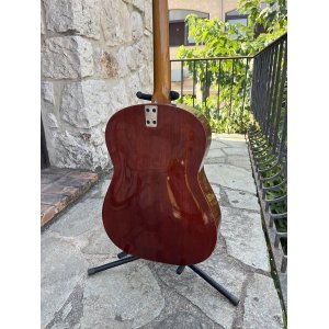 Vendido - Framus Western 5/195