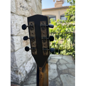 Harmony Supertone Singing cowboys