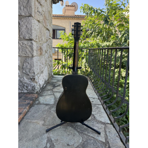 Harmony Supertone Singing cowboys