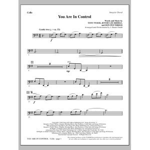 You Are In Control - Cello