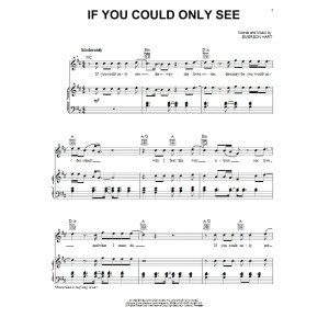 If You Could Only See
