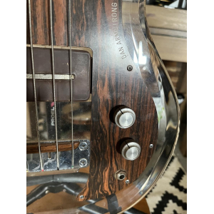 Dan Armstrong Ampeg Lucite Bass