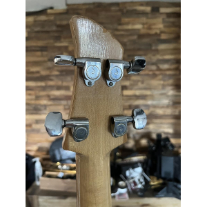 Dan Armstrong Ampeg Lucite Bass