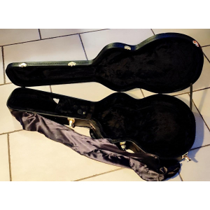 Ibanez Guitar Case