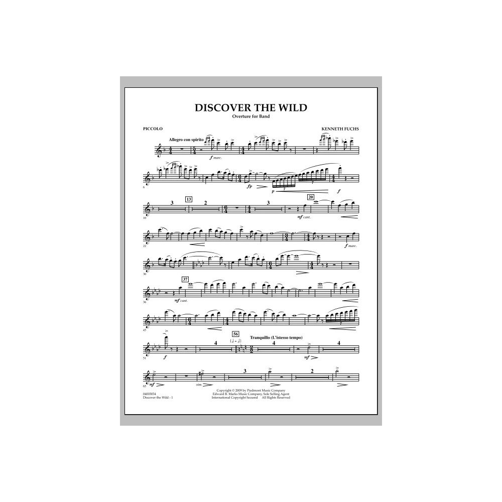 Discover The Wild - Piccolo