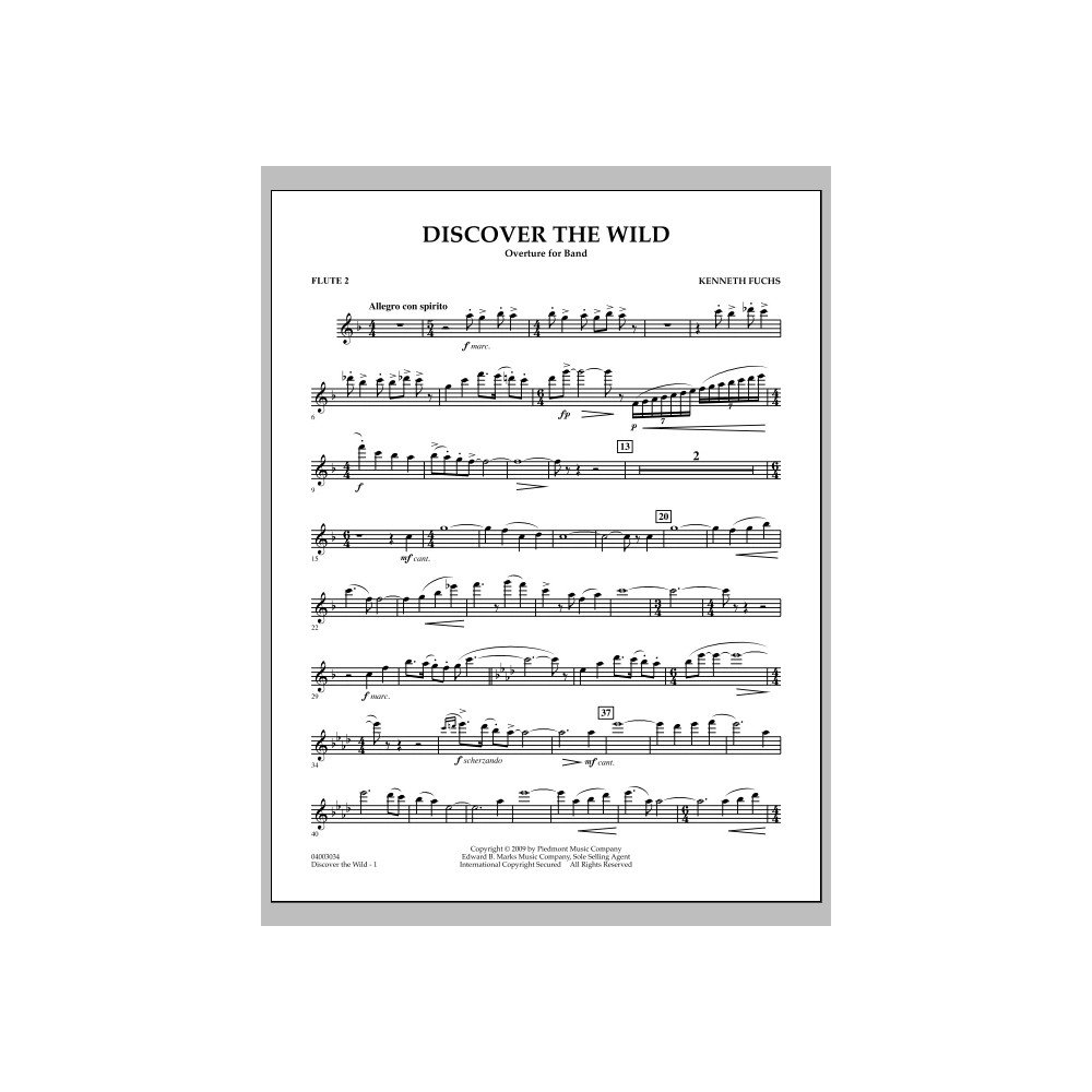 Discover The Wild - Flute 2