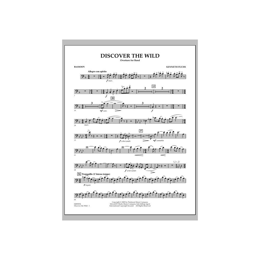 Discover The Wild - Bassoon
