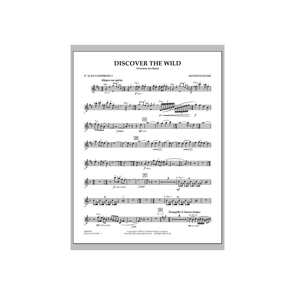 Discover The Wild - Eb Altsaxophon 2