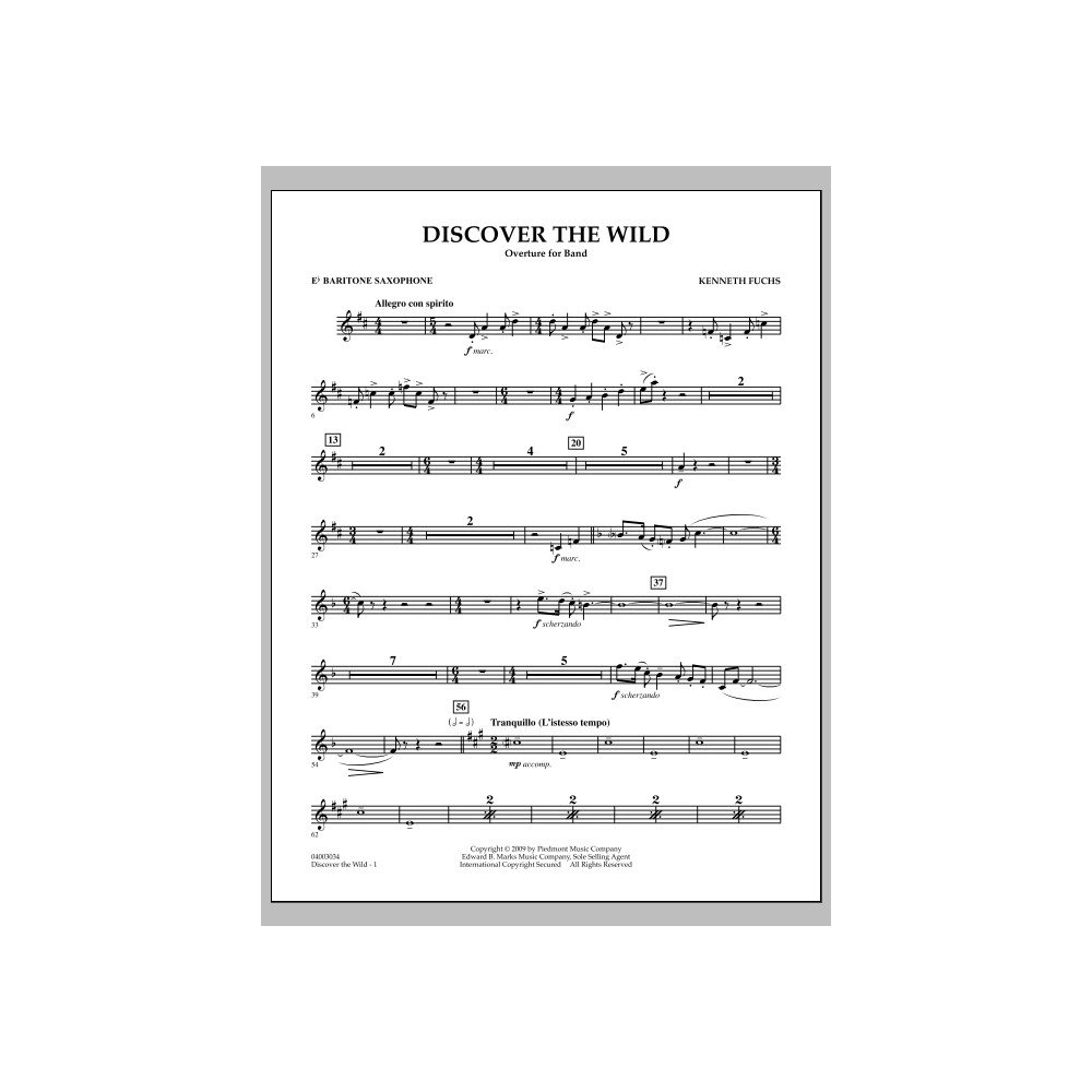 Discover The Wild - Es-Baritonsaxophon