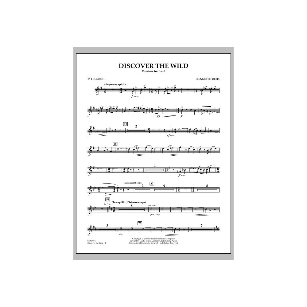 Discover The Wild - Bb-Trompete 1