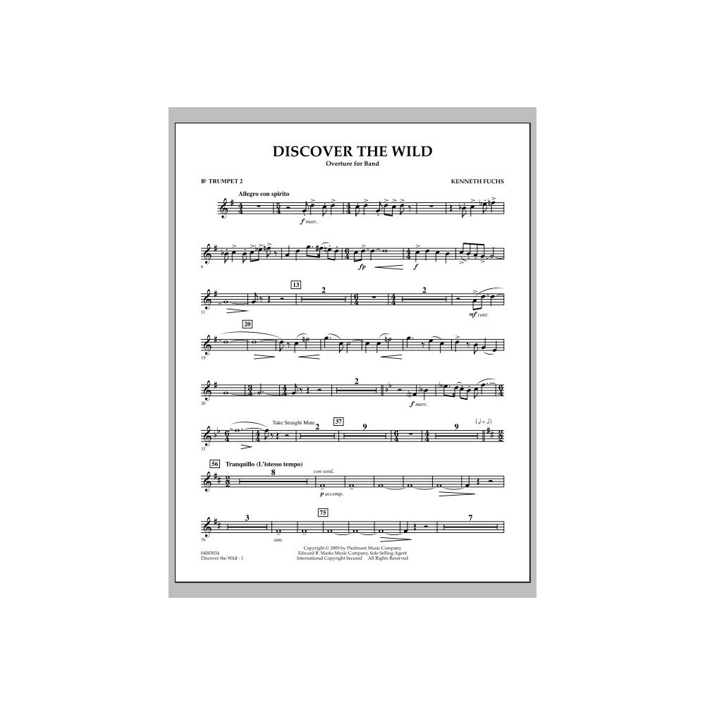 Discover The Wild - Bb Trompete 2