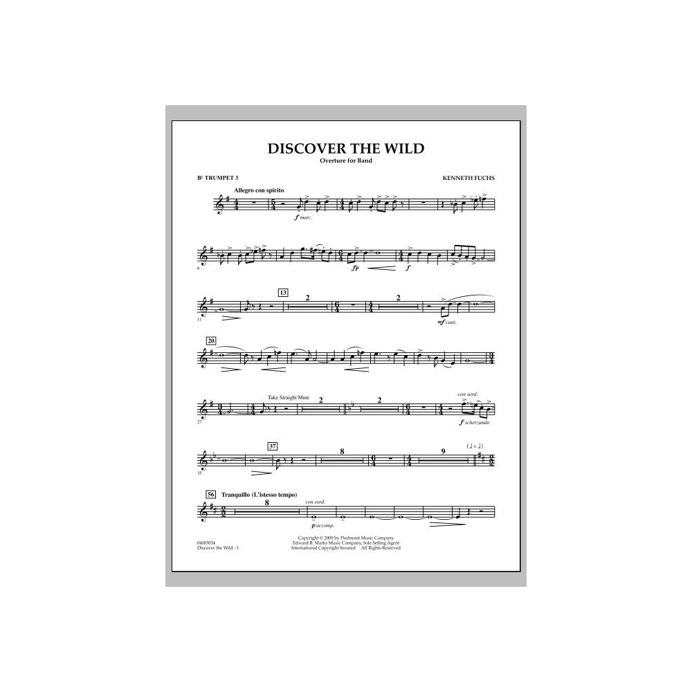 Discover The Wild - Bb Trompete 3