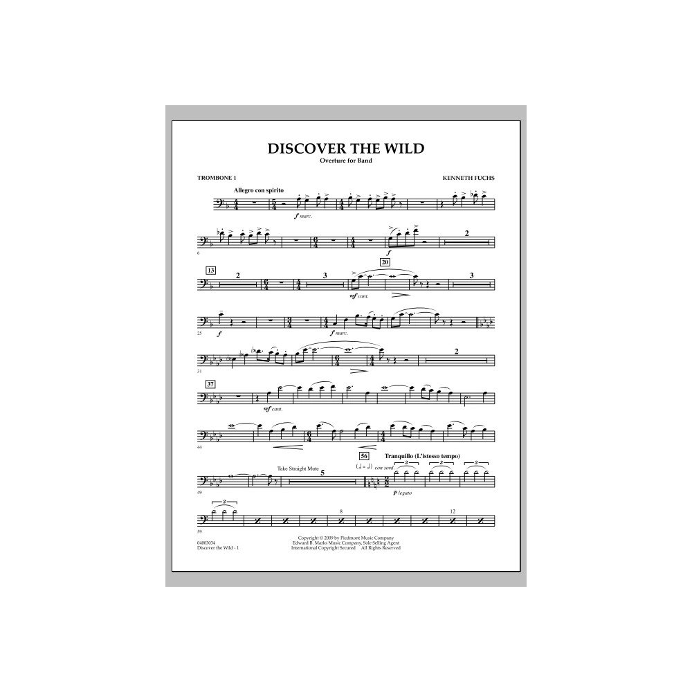 Discover The Wild - Posaune 1