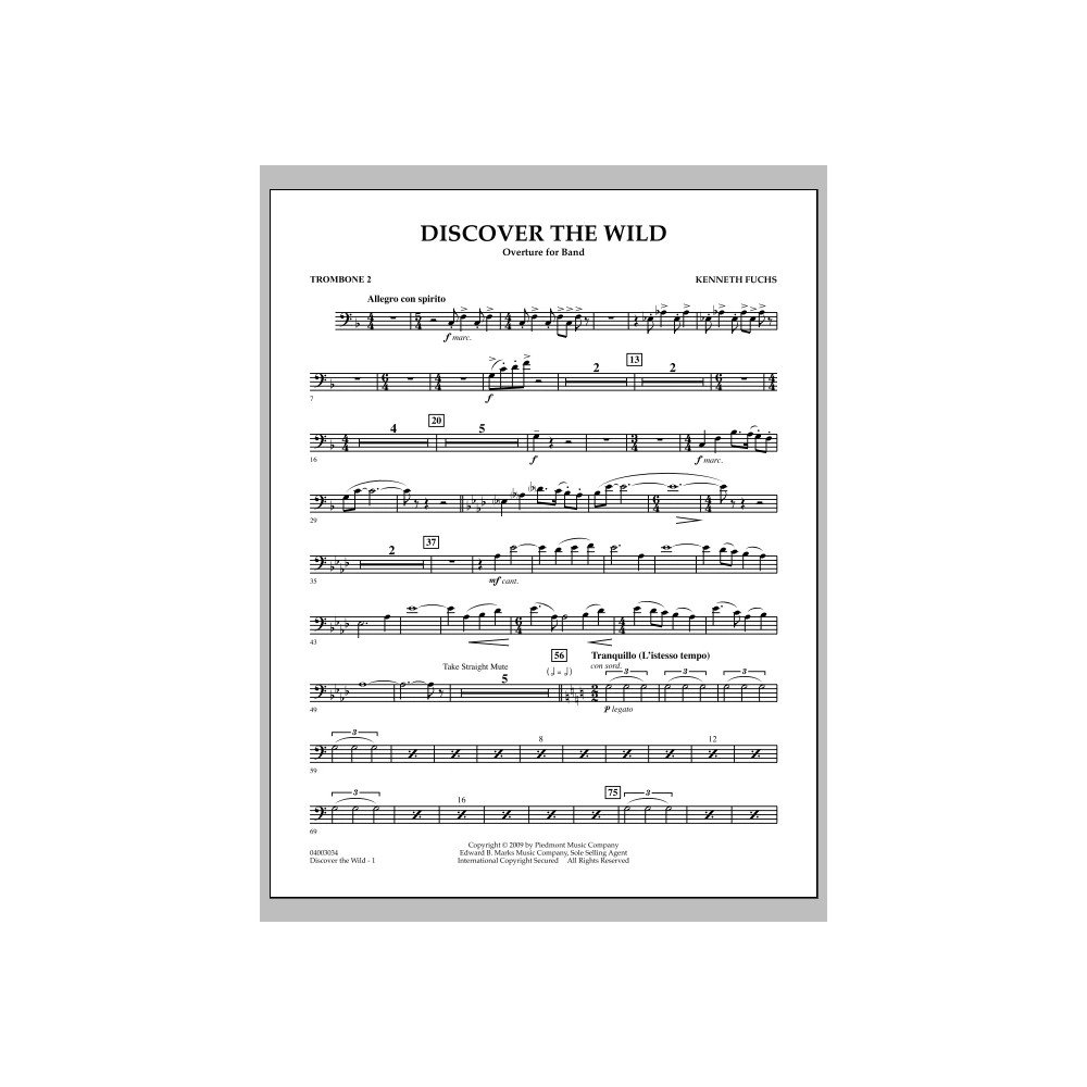 Discover The Wild - Posaune 2
