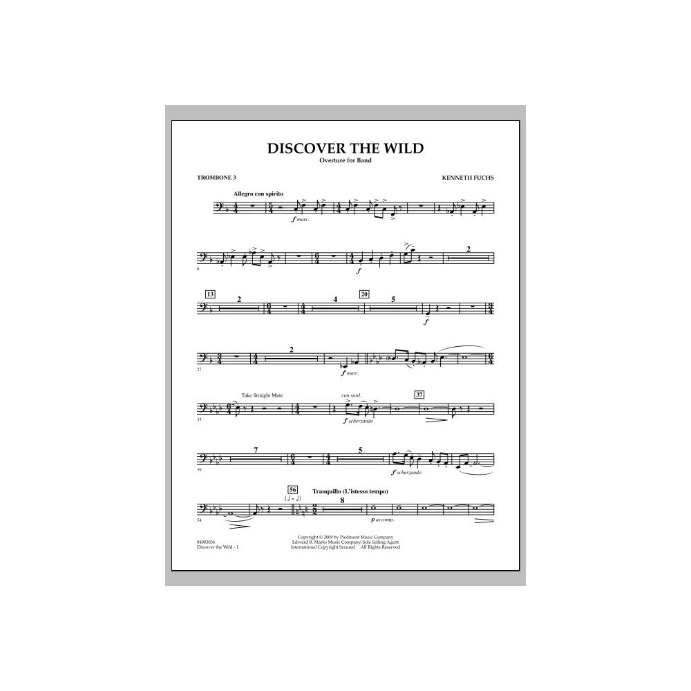 Discover The Wild - Trombone 3