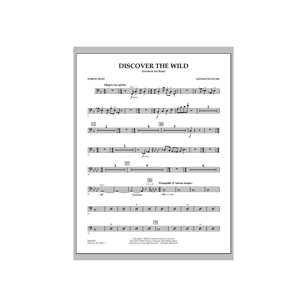 Discover The Wild - String Bass