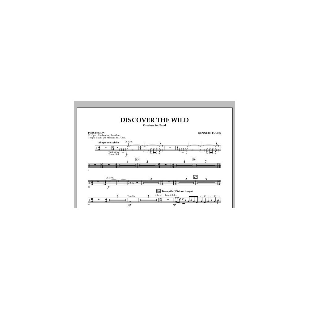 Discover The Wild - Percussion