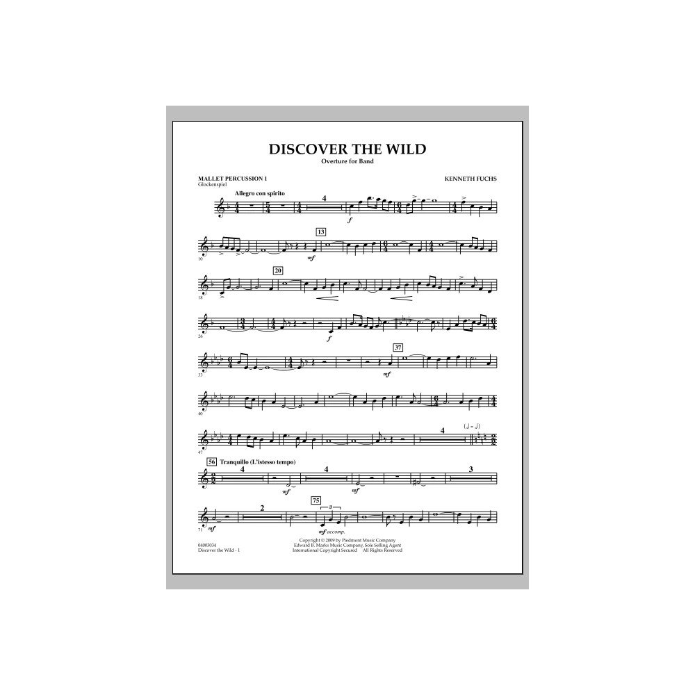 Discover The Wild - Mallet Percussion 1