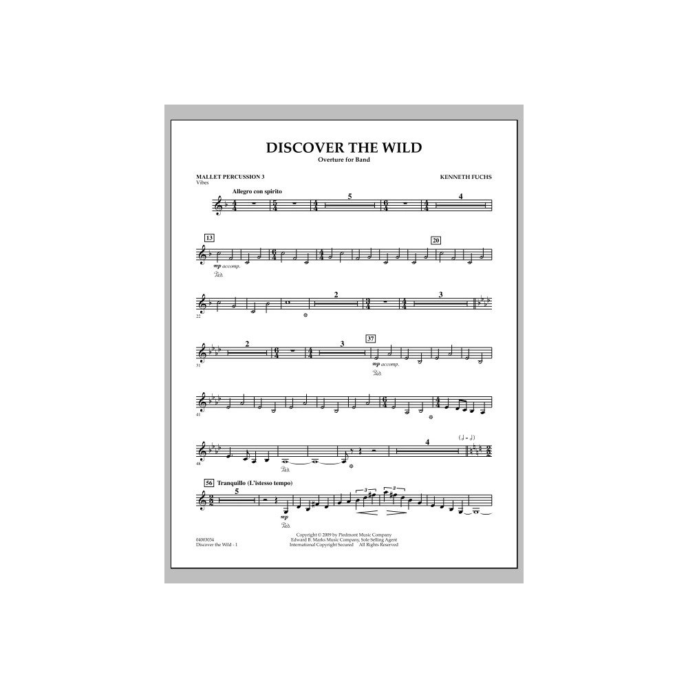 Discover The Wild - Mallet Percussion 3