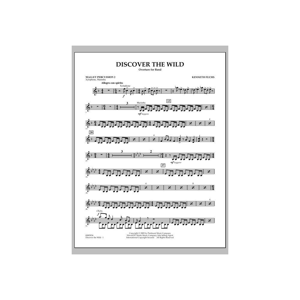 Discover The Wild - Mallet Percussion 2
