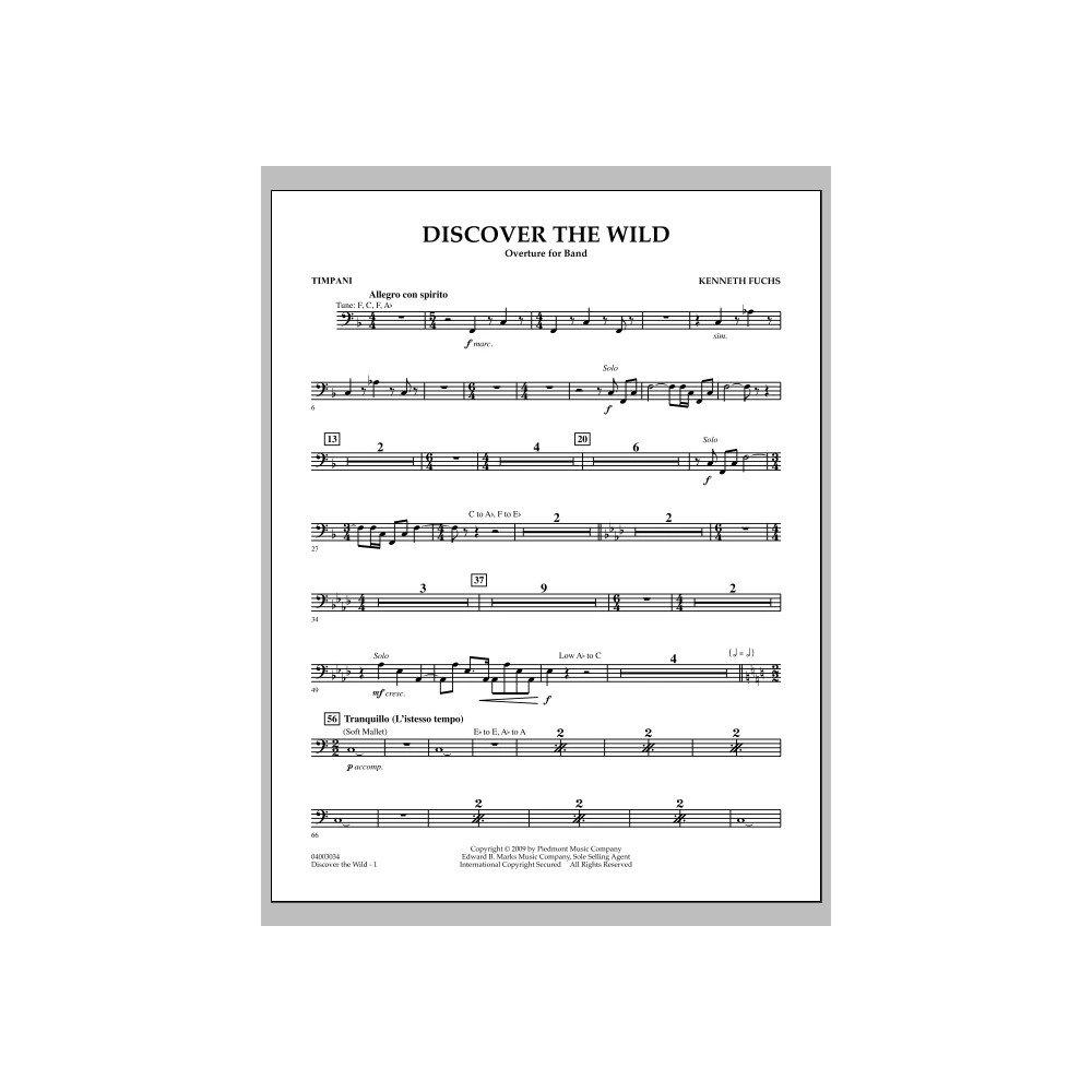 Discover The Wild - Timpani