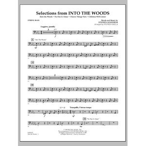 Selections from Into the Woods - String Bass