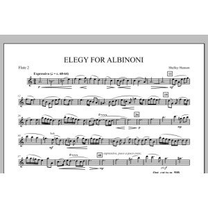 Elegie für Albinoni - Flöte 2