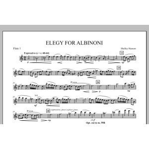 Elegy For Albinoni - Flute 1