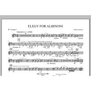 Elegy For Albinoni - Bb Trumpet 1
