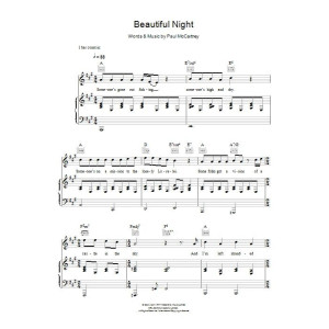 Beautiful Night