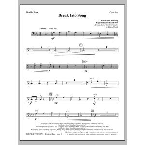Break Into Song - Double Bass