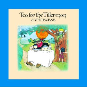 Wild World
