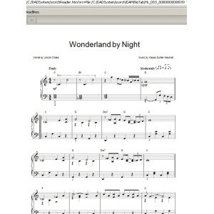 Wonderland By Night