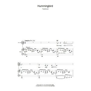 Hummingbird