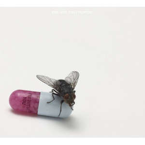 Happiness Loves Company