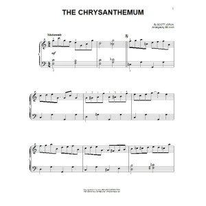 The Chrysanthemum