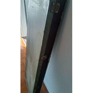 Framus StarBass "Bill Wyman" + estuche 1962