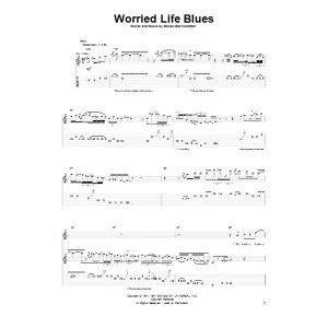 Worried Life Blues