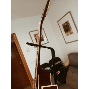 The Epiphone ES-175