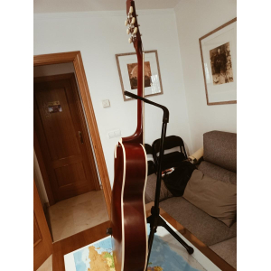 The Epiphone ES-175
