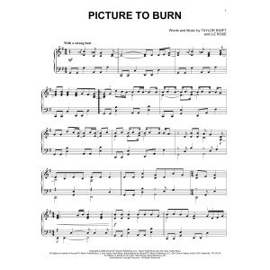 Picture To Burn