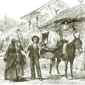 Maquerule