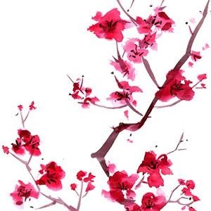 Sakura (Cherry Blossoms)