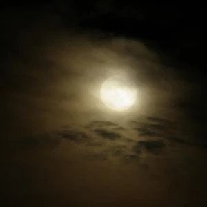 Shining Moon